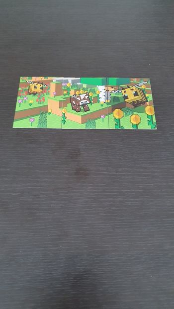 Cartes Minecraft Springtime complet