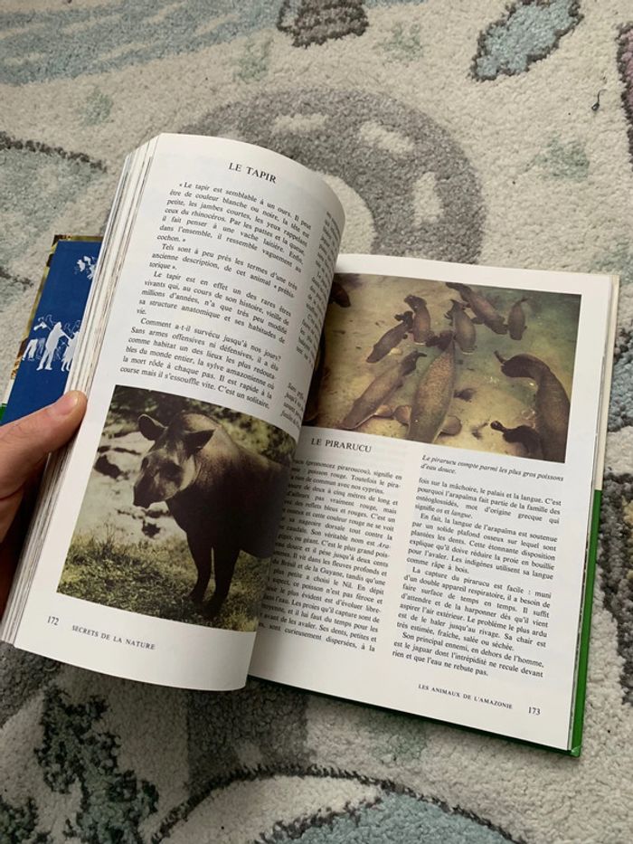 Le monde enchantée de Walt Disney - Secrets de la Nature - photo numéro 2
