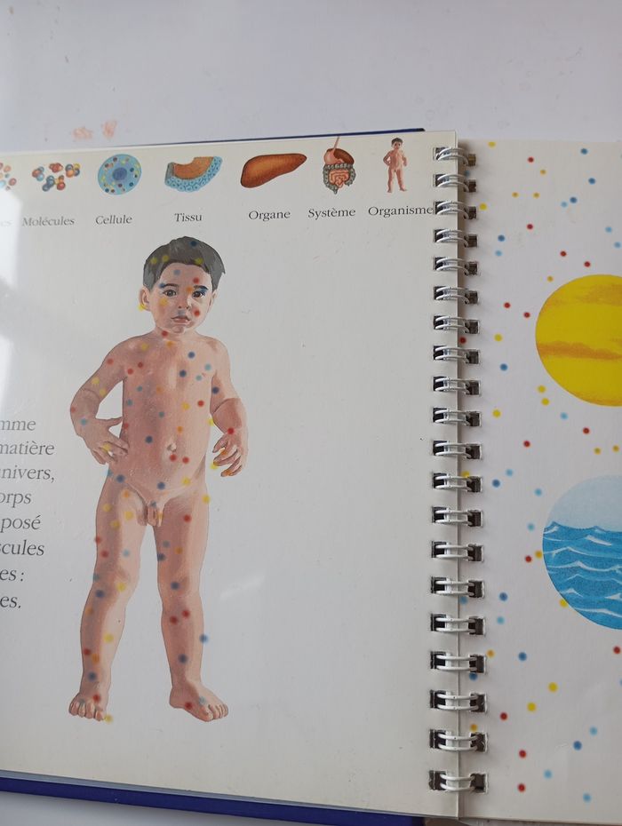 La vie du Corps - photo numéro 2