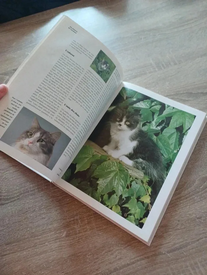Livre " les chats , ces compagnons de jeu aux pattes de velours " - photo numéro 4