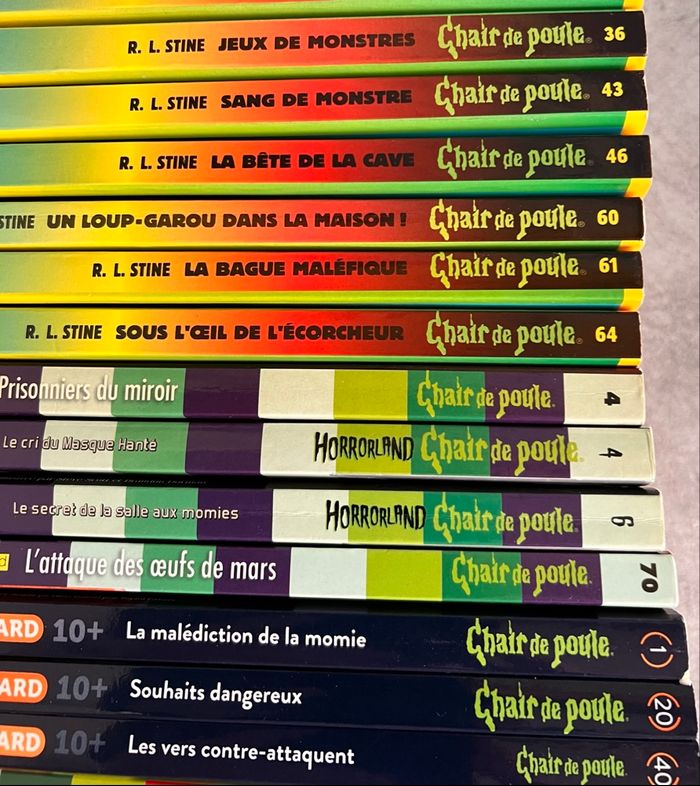 Chair de poule - photo numéro 4