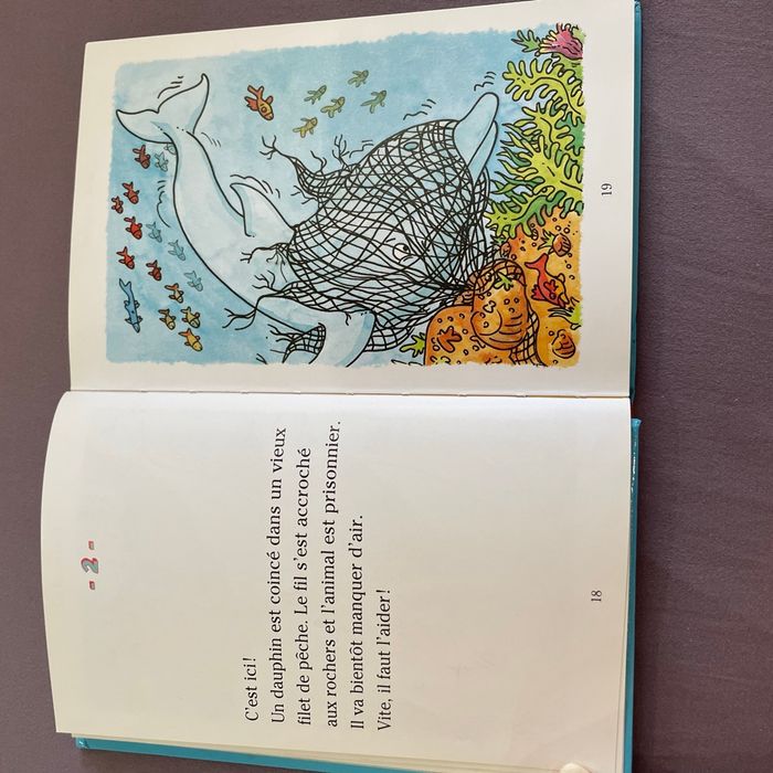 Livre Je commence à lire avec Gafi - photo numéro 2