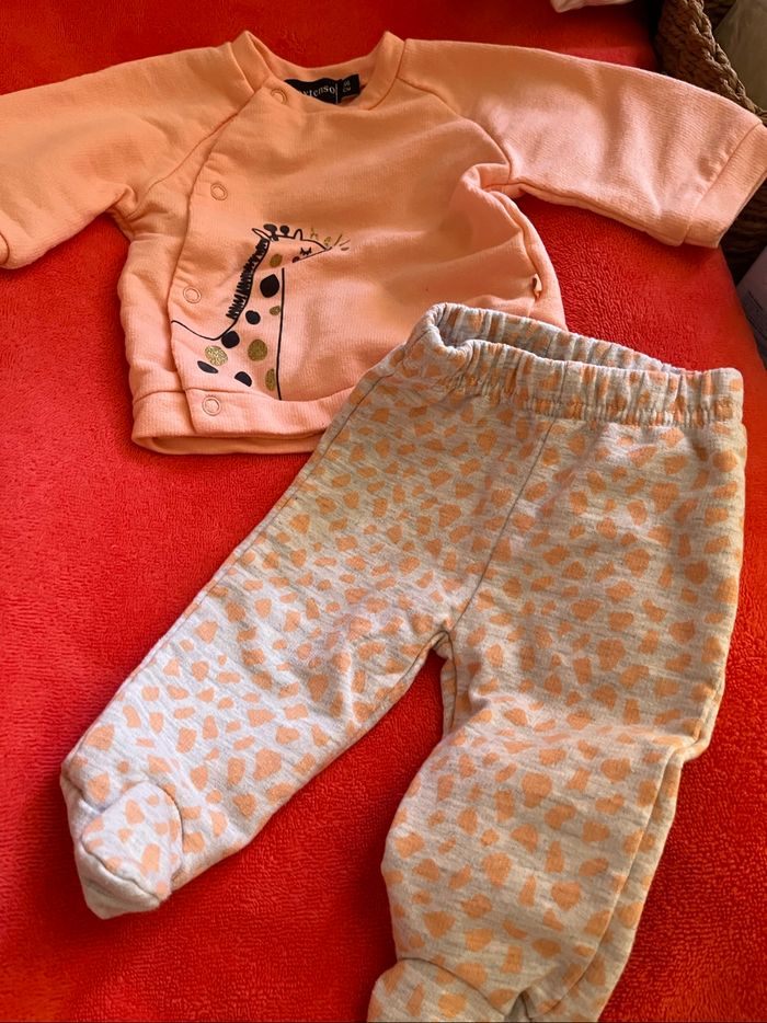 Petit ensemble giraphe