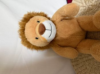 Peluche lion les z amis nature gipsy