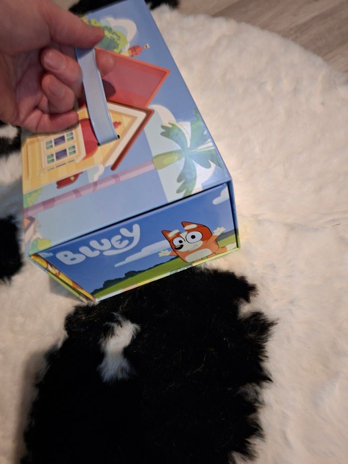 Bluey - photo numéro 8