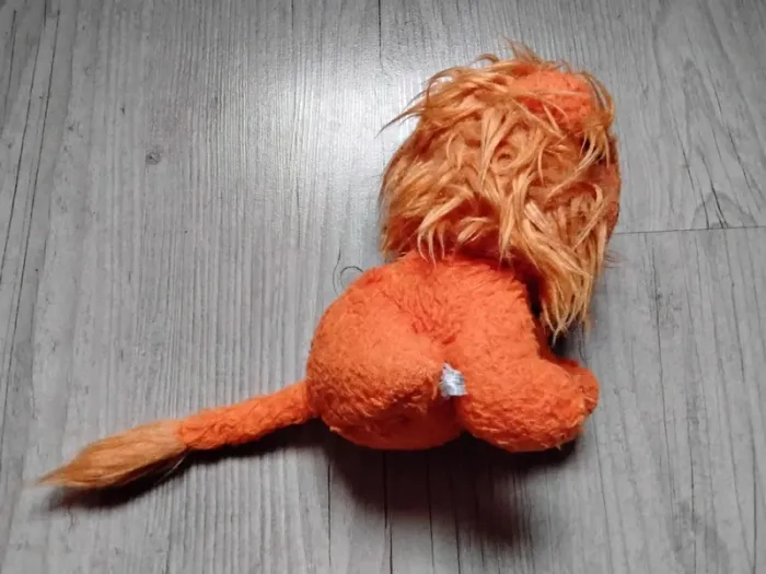 Lion 🦁 - photo numéro 3