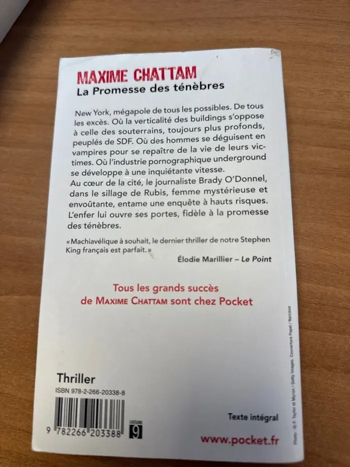 Maxime Chattam la promesse des ténèbres - photo numéro 2
