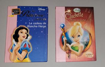 Lot de 2 livres la bibliothèque rose disney