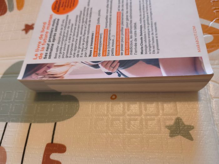 Livre de bord de la future maman - photo numéro 3