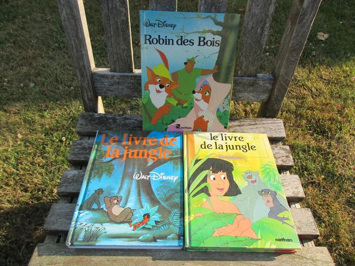 3 livres de 110 pages walt disney