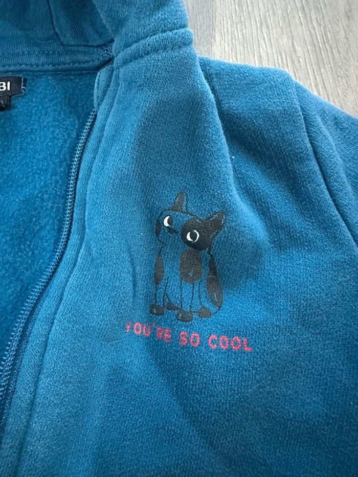 Gillet - photo numéro 3