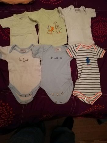 Bodies manche courte