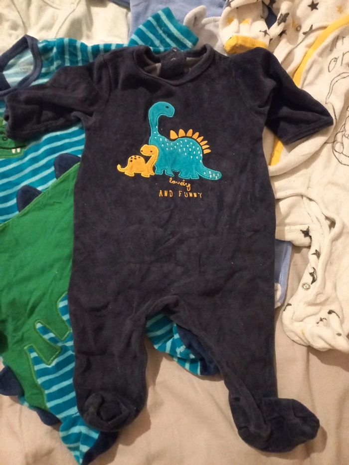 Grenouillères - photo numéro 7