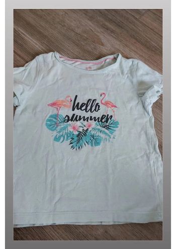 Tee shirt flamands roses lupilu 2 ans