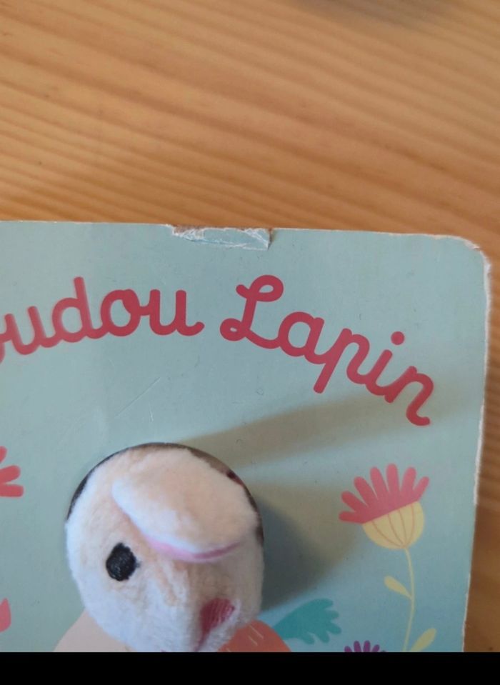 Livre doudou lapin - photo numéro 2