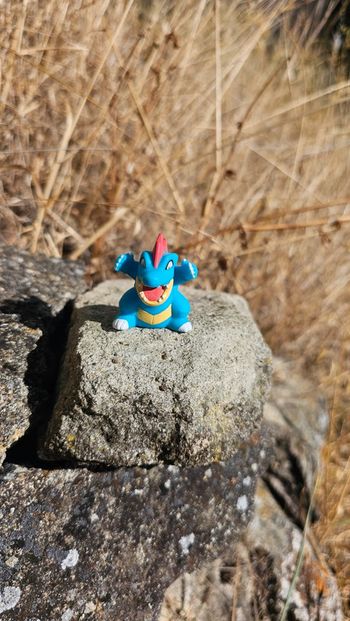 Super figurine Pokemon Nintendo finger puppet Aligatueur
