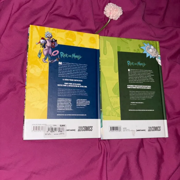 Lot bd Rick and Morty - photo numéro 4