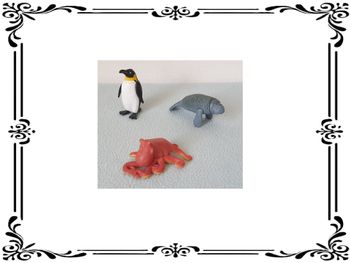 Animaux marins.