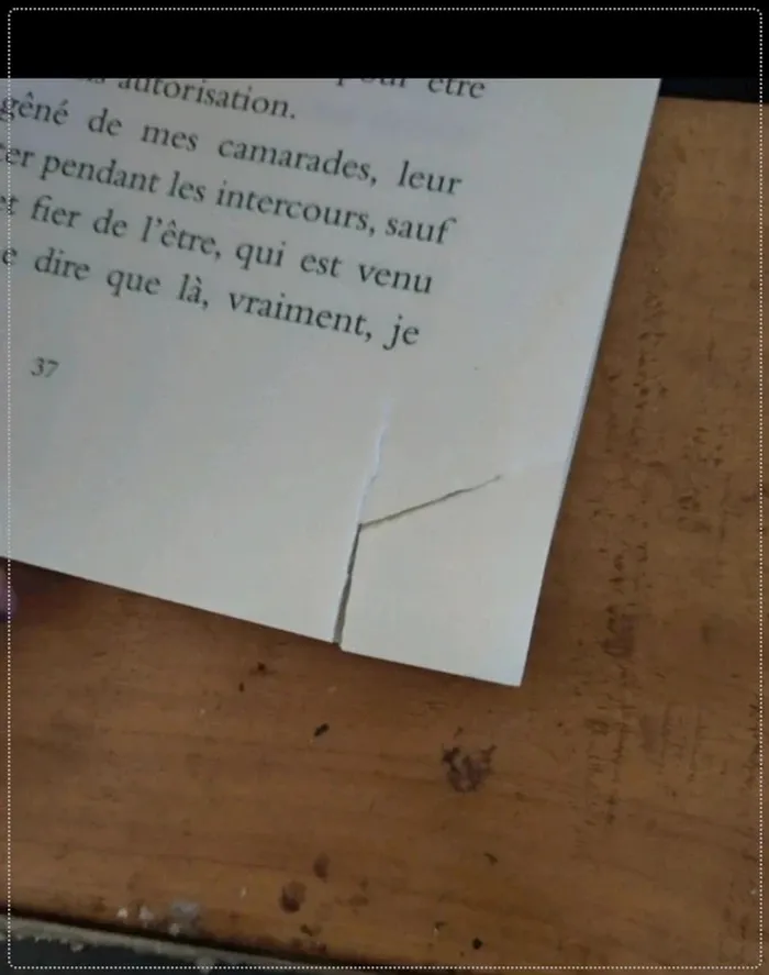 Personne ne bouge : DON livre - photo numéro 5