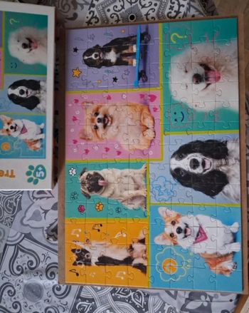 Puzzle 100 pièces