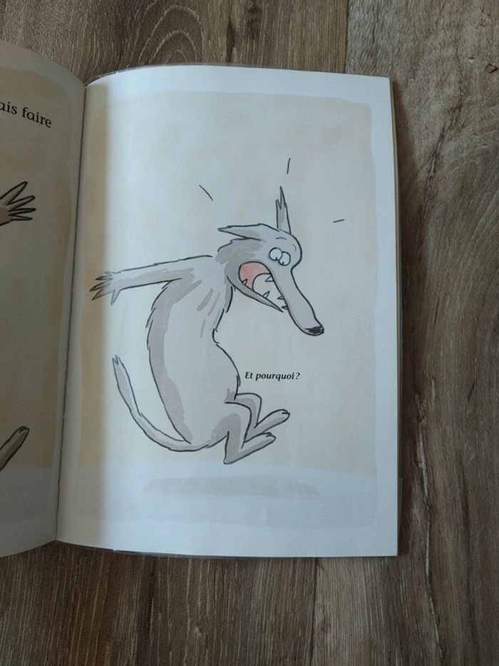 Livre école des loisirs - photo numéro 4