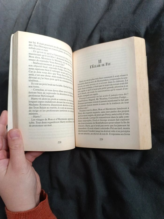 Livre Harry Potter - photo numéro 4