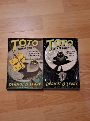 Lot 2 livres Toto Ninja Chat