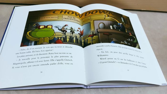 📚 Livre : Là-haut dans les nuages - photo numéro 3