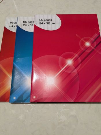 Lot de 3 cahiers 96 pages, petits carreaux. Taille : 24x32 cm.