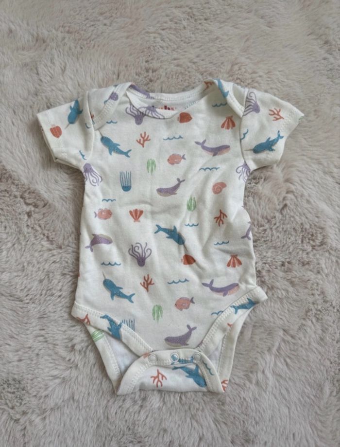 Ensemble - photo numéro 2