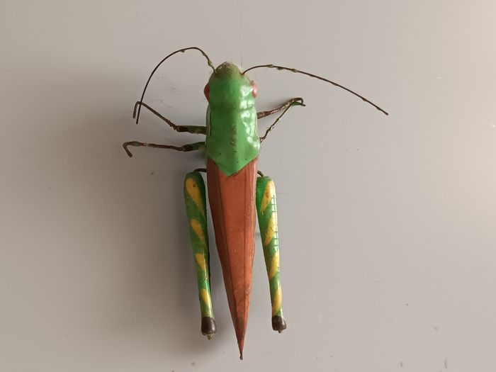 Aimant criquet - photo numéro 2