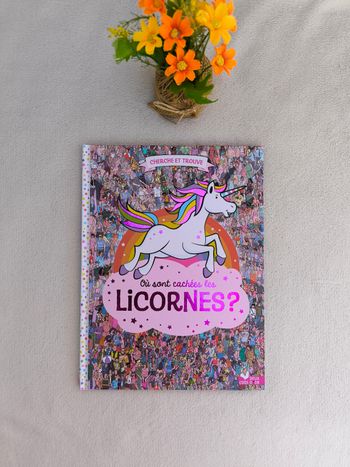 Livre Où sont cachés les licornes ?