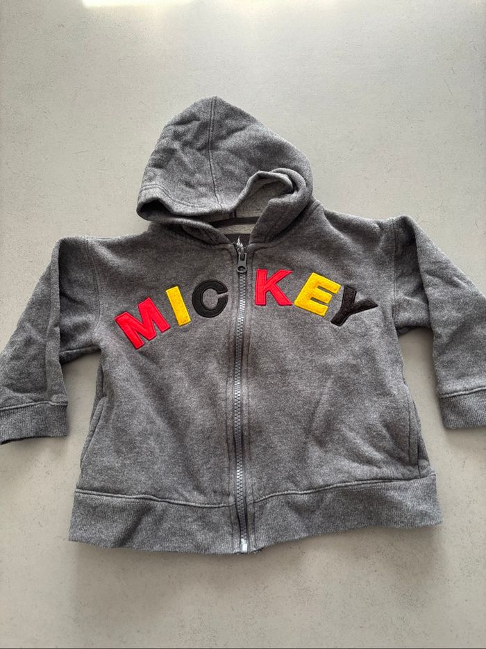 Sweat zippé à capuche gris Disneyland