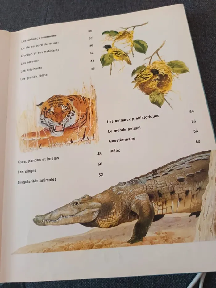 Mon 1er livre des animaux - photo numéro 4