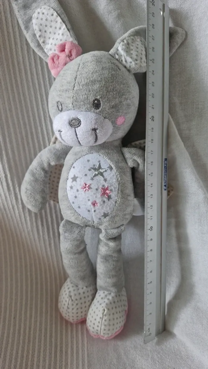 Lapin ange Simba - photo numéro 5