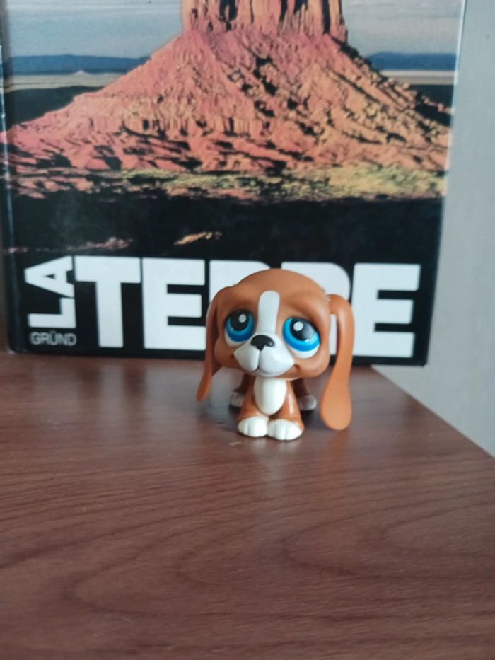 Petshop rare basset hound #222