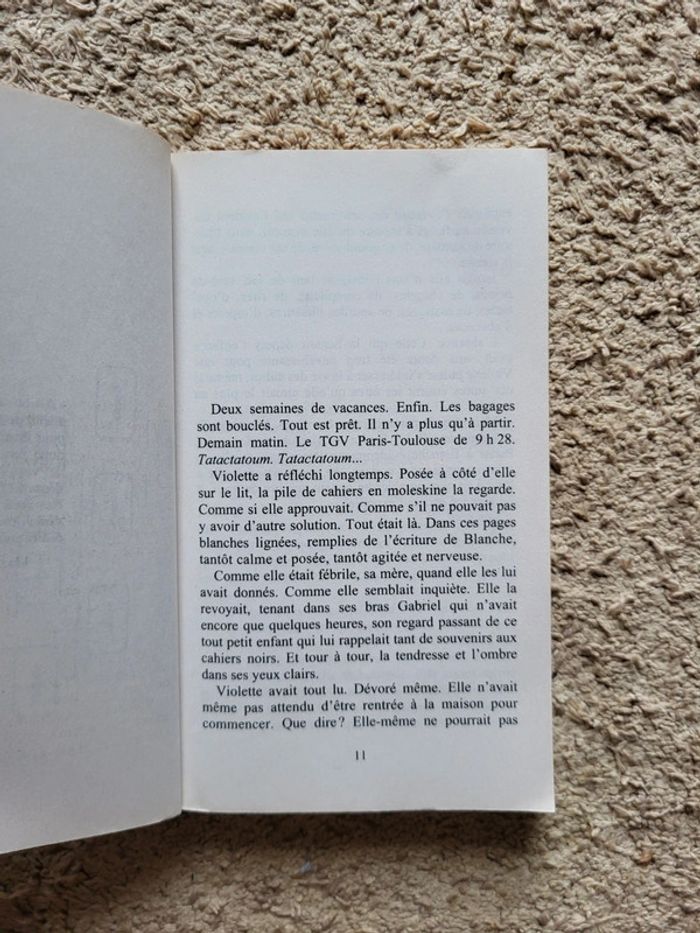 Roman Si j’ai bonne mémoire – Anne Icart - photo numéro 5