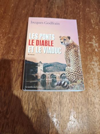 Livre Les ponts Le diable et le Viaduc