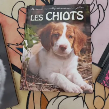 Les chiots marque piccolia