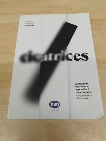 Cicatrices : 25 histoires courtes pour apprendre à entreprendre