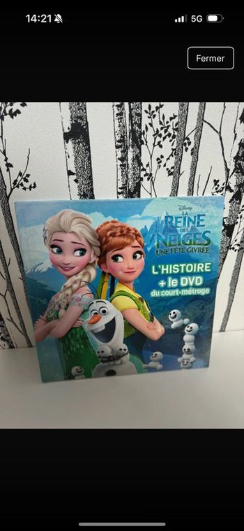 Livre la reine des neiges