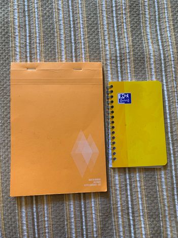 Lot de 2 carnets