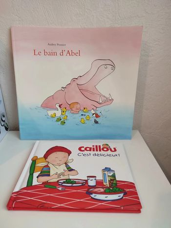 Lot de deux livres " le bain d'Abel " et "caillou ."