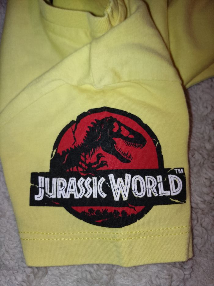 T-shirt manches courtes - photo numéro 4