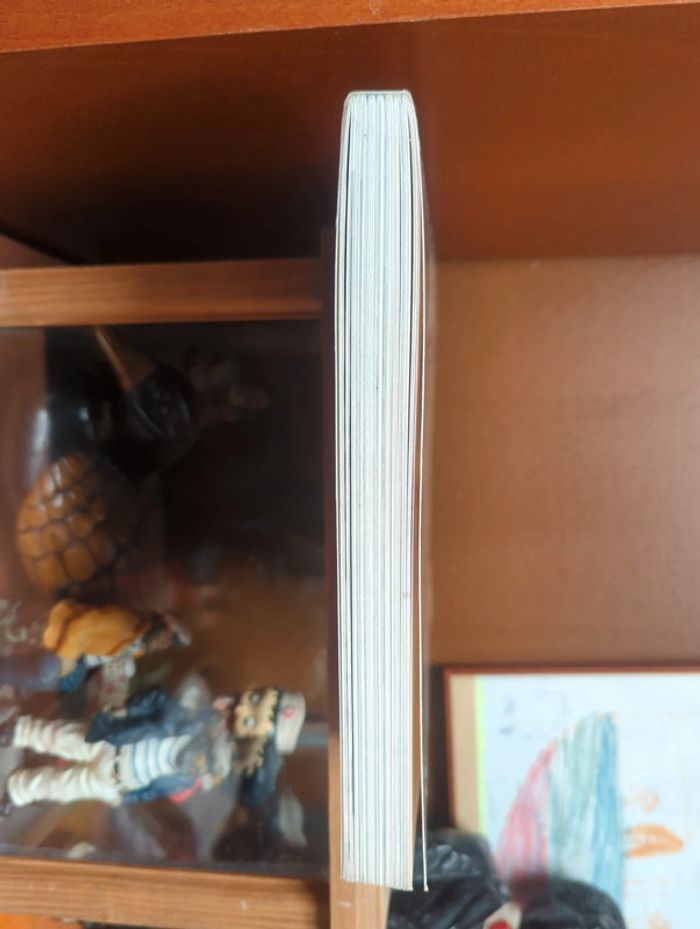 Le miroir de la grande guerre - photo numéro 6