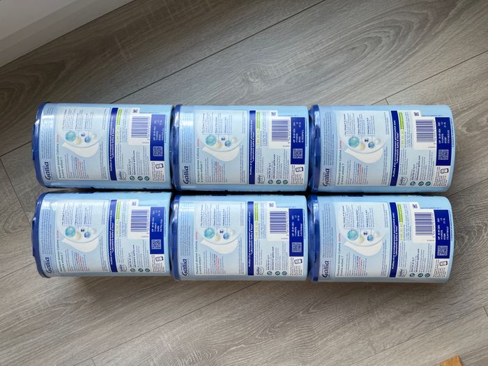 Gallia callisma 4 - photo numéro 2