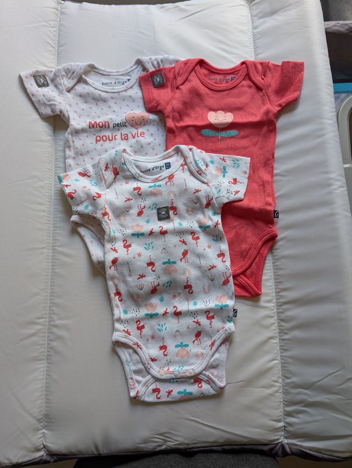 Lot  30  bodies