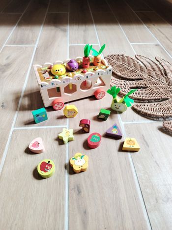🥕Camion d'éveil multi activités 3 en 1 potager et animaux boîte à formes en bois