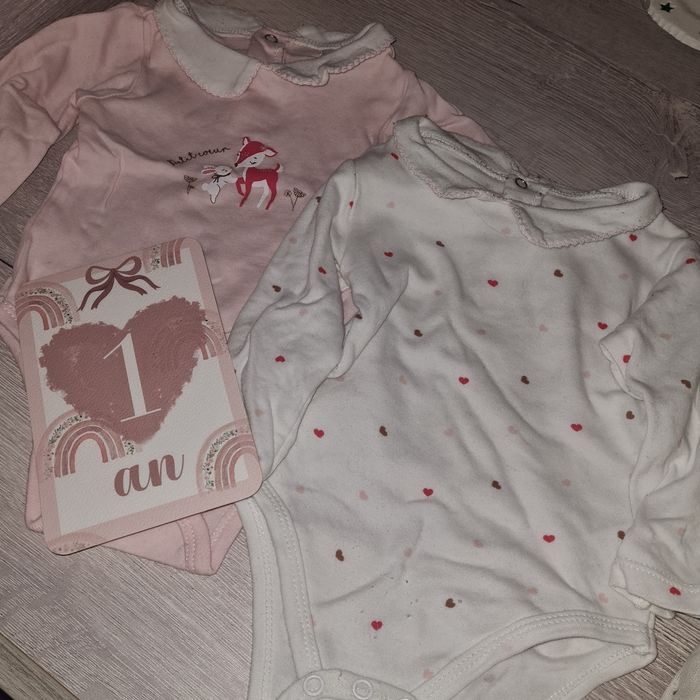 Lot de 2 bodys 12 mois mes petits cailloux
