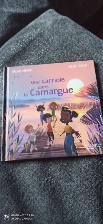 Livre une carriole dans la Camargue